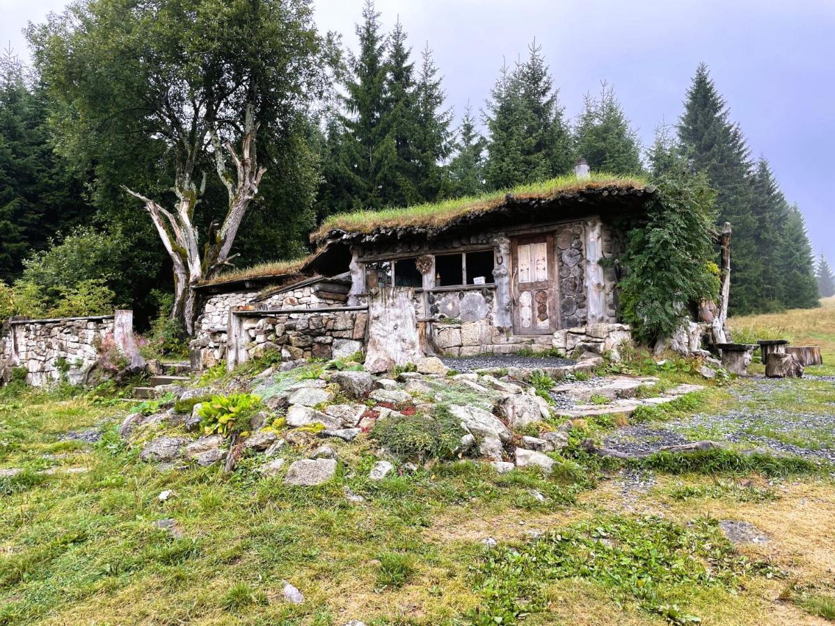 Apartman Plesivec U Sjezdovky Abertamy Exterior foto